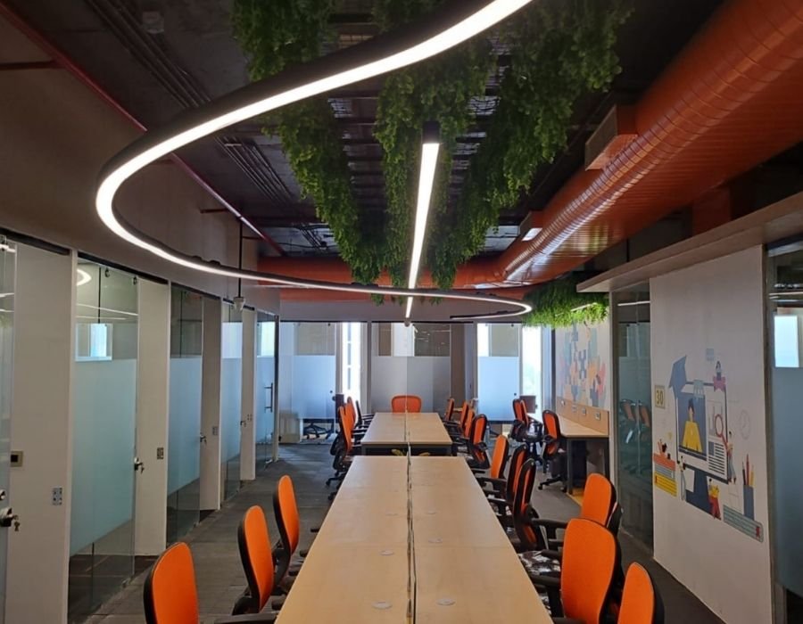 Business Plus (3)