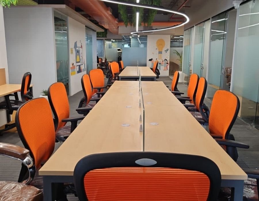 Business Plus (5)