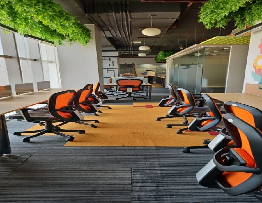Business Plus (7)
